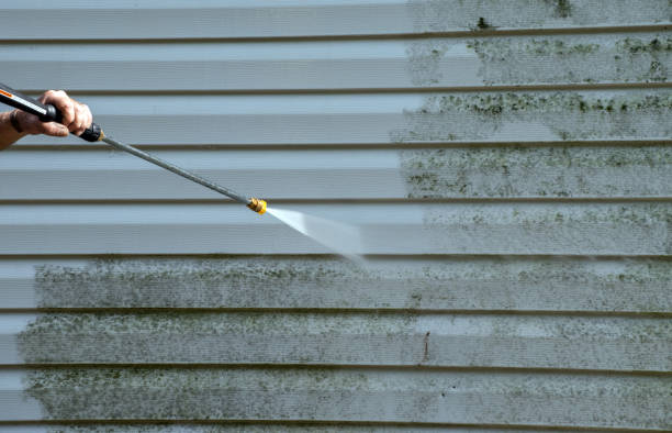 Best Roof Power Washing Services  in Clinton, MI