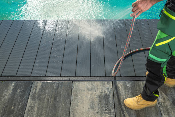 Best House Pressure Washing  in Clinton, MI